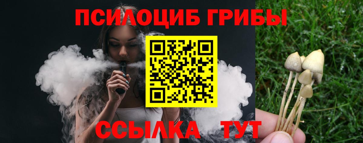 Луга  Псилоцибиновые грибы мухоморы  Вход с VPN  Псилоцибиновые грибы GOLDEN TEACHER 